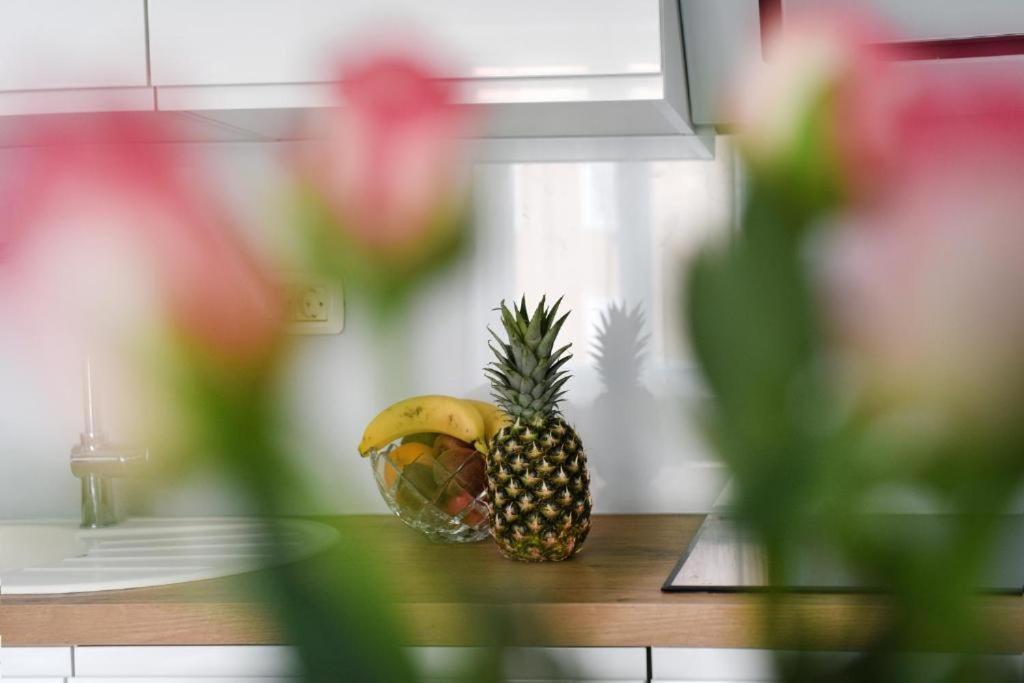 Apartment Lant Zadar Dış mekan fotoğraf
